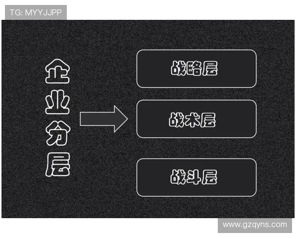 深入分析北京排球队反击战术的核心策略与实践效果