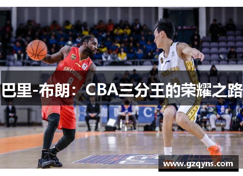 巴里-布朗：CBA三分王的荣耀之路