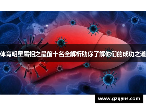 体育明星属相之最前十名全解析助你了解他们的成功之道